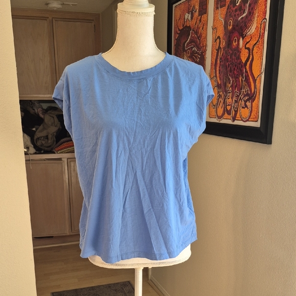 Express Tops - Express Blue Skimming Capped Sleeves Shirt